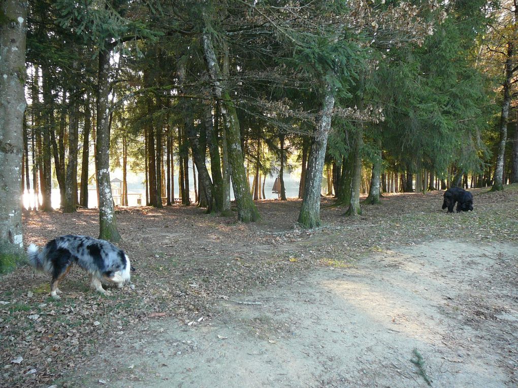 Balade autour du lac