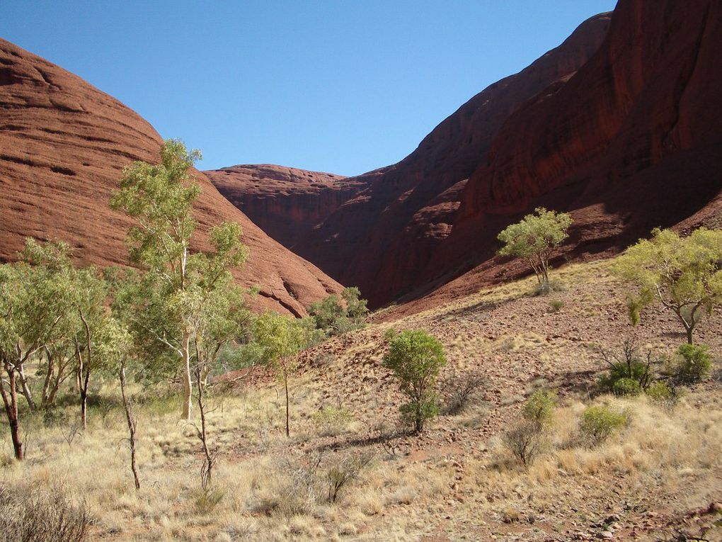 Album - The-Ultimate-Oz-Experience-2--Outback--The-Olgas---Ayers-Rock---Kings Canyon