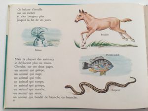 je découvre les animaux  livre vintage la presse d'or, joie d'apprendre. sur charlotteblabla blog