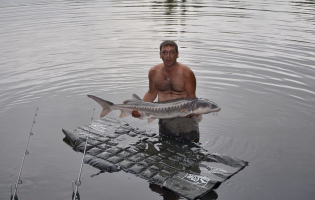 des poissons géants pour pêcheurs géants...