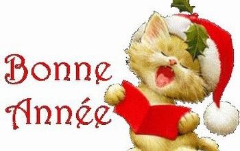 BONNE ET HEUREUSE ANNEE 2011