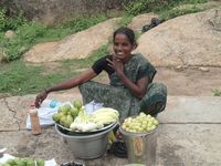 échoppes et marchés dans le Karnataka, le Kerala et le Tamil Nadu