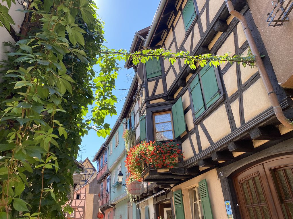 EGUISHEIM  en Alsace