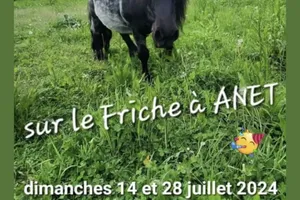 En juillet et août 2024, à ANET.