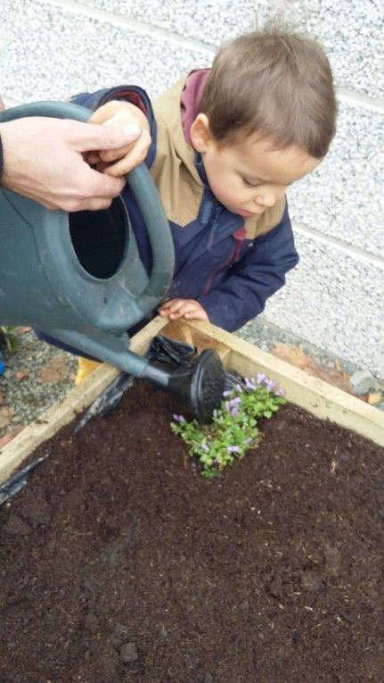 Nous avons arrosé nos plants.