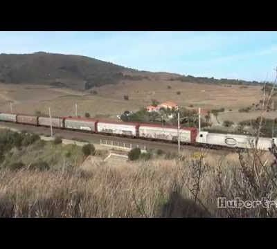 Trains en Languedoc-Roussillon 