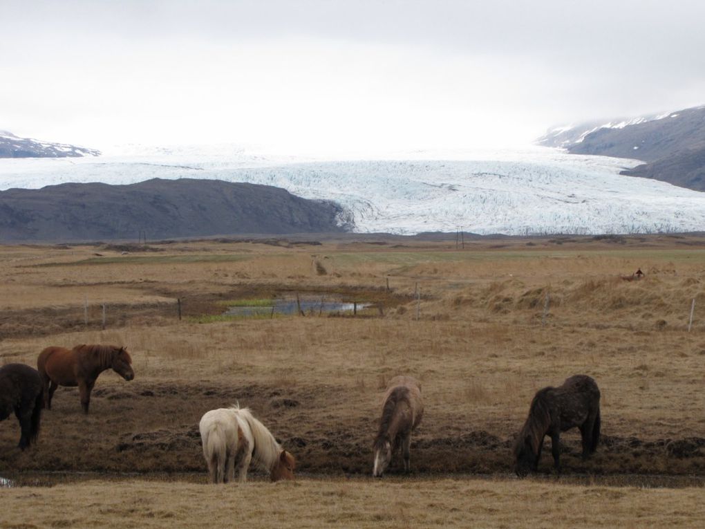 Album - 4 -ISLANDE---Le-Vatnajokull