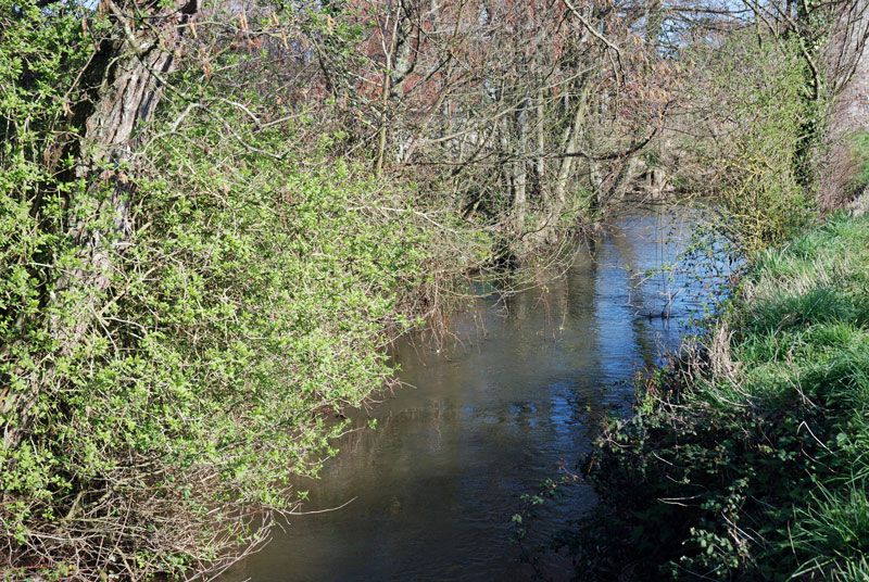 La Sinope, fleuve qui se jette dans la mer à Quinéville.