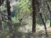 Tucson, Saguaro National Park et Biosphere 2