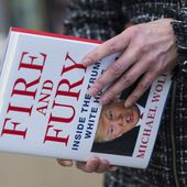 'Fire and Fury' to get TV adaptation: reports