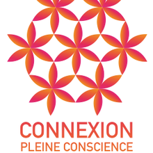 Connexion Pleine conscience 2016: un mois gratuit de conférences, chaque jour