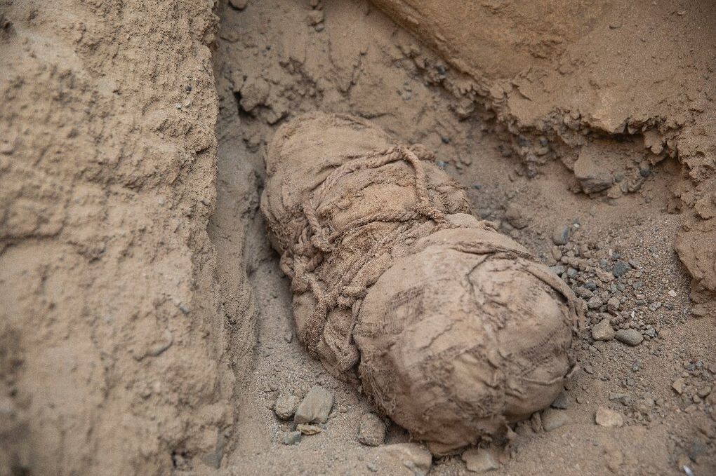 Pérou : Découverte d'anciennes momies d'enfants probablement sacrifiés !