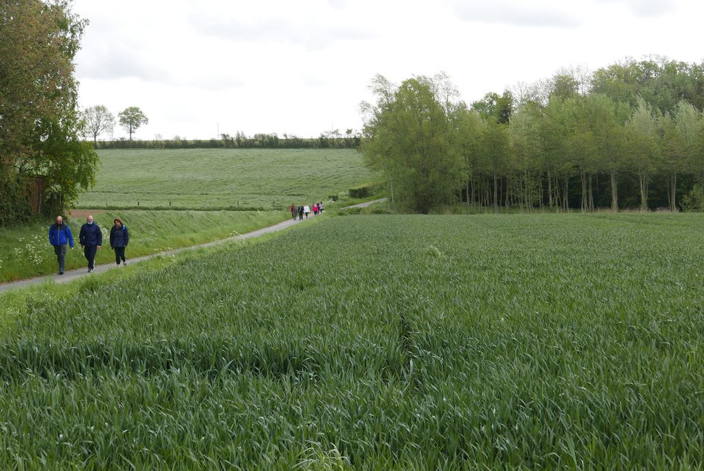 80 participants pour une balade de 11,5 km avec un zeste d'aventure en forêt, quelques glissades, une courte averse... Pas de photo de groupe, coronavirus oblige. 