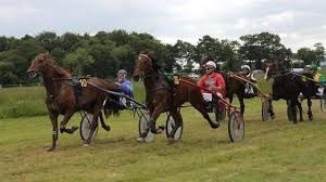 27 Novembre 2017 VINCENNES-R1-C2…TROT