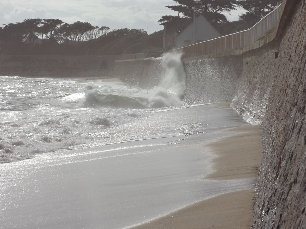 Album - BATZ-SUR-MER