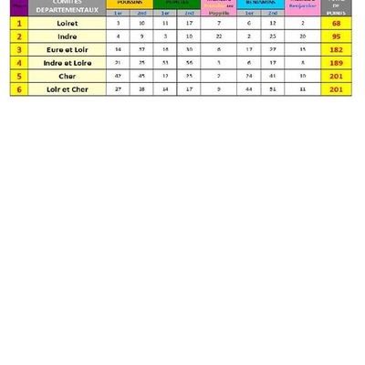 Les classements complets du TRJC de Nazelles négron (37)