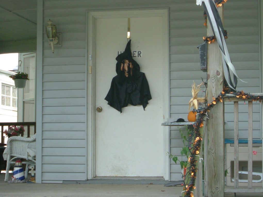 Here are a few pictures of what Halloween is like in a small town in the US... very cool! ;)