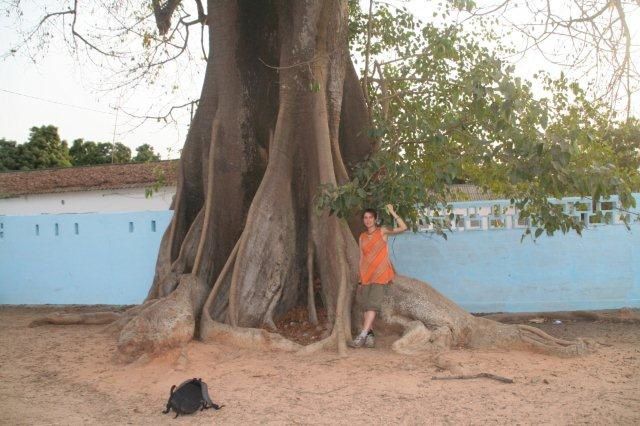 Album - casamance-senegal