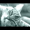 Mike Oldfield - Never Too Far (avec Tarja Turunen) : superbe vidéo !