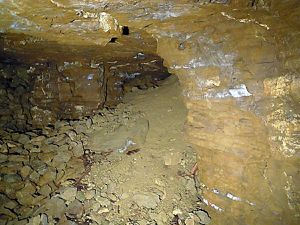 La grotte Notre-Dame d'Algrange d'hier et d'aujourd'hui