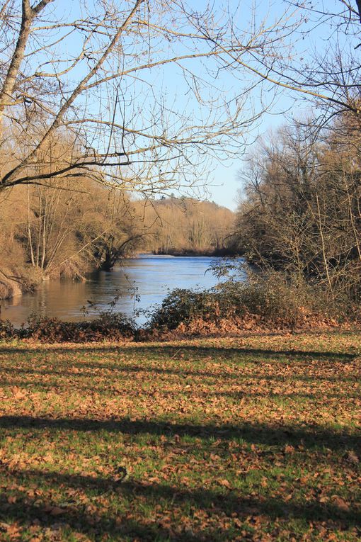 Vivre de RSAmour et d'eau fraîche