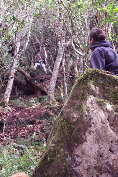 <p>Week end acrobranche, botanique, g&eacute;ologie et hamacs dans la for&ecirc;t du petit Mapou, plong&eacute;e &agrave; la pointe au sel... Merci Transph&egrave;re !</p>
<p>Sinon, il y a aussi le canyonning... Ahhhhhh, le canyon...</p>
<p>Mais aussi de la rando... </p>
<p>Bref, toutes ces belles ballades&nbsp;que&nbsp;nous offre La R&eacute;union !</p>