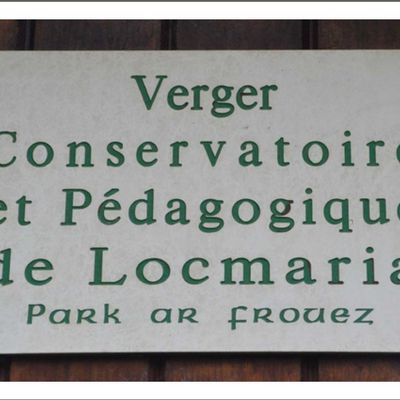 La Société d'Horticulture du Bas Léon visite le Verger Conservatoire de Locmaria à Plabennec