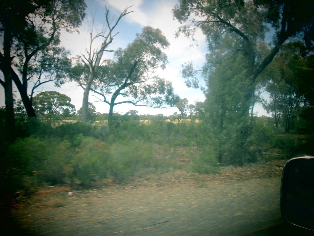 Australia seen from the road