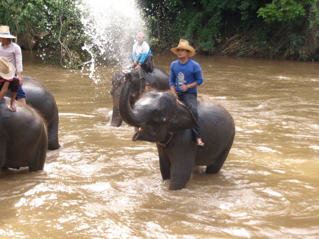 Album - THAILANDE-PART-1