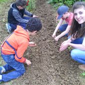 les tap au jardin - federation de l'environnement de haute saone (HSNE)