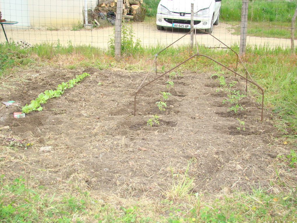 Potager du Gîte 