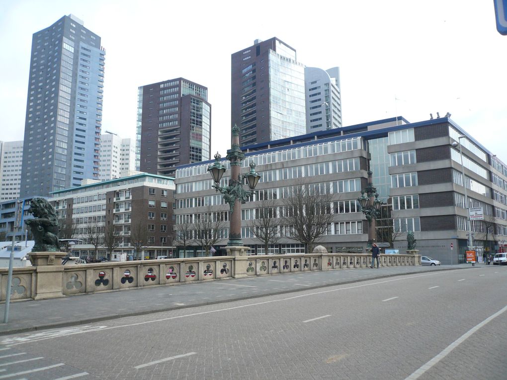 Album - Rotterdam