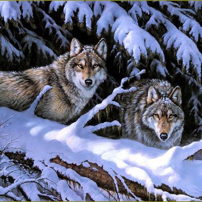 Les loups par les peintres  -  Rosemary Millette