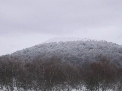 <P>Il venait de vraiment bien neigé...<BR>Le temps froid laissait présager une piste de descente fort sympatique... dur et rebondie... pour tout dire carrément verglacée... </P>
<P>&nbsp;</P>
<P>Le chemin de la montée fût donc notre descente -en luge - préférée en cette fin janvier ;-)</P>
<P>&nbsp;</P>
<P>Royal !!</P>