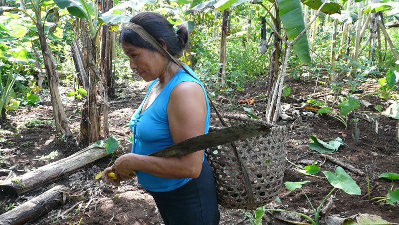 villages d artisants et sejour dans une famille indigene shuar