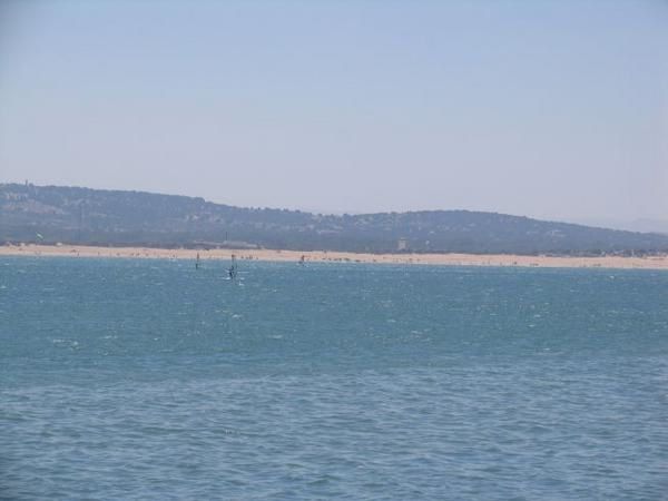 quelques 106 photos d'Essaouira, de son port, de ses mouettes et de ses chats plus ou moins mités