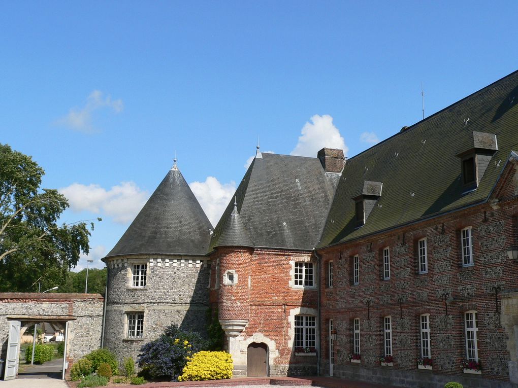 Marche "Le Mont Joli Bois" à partir de Criel sur Mer