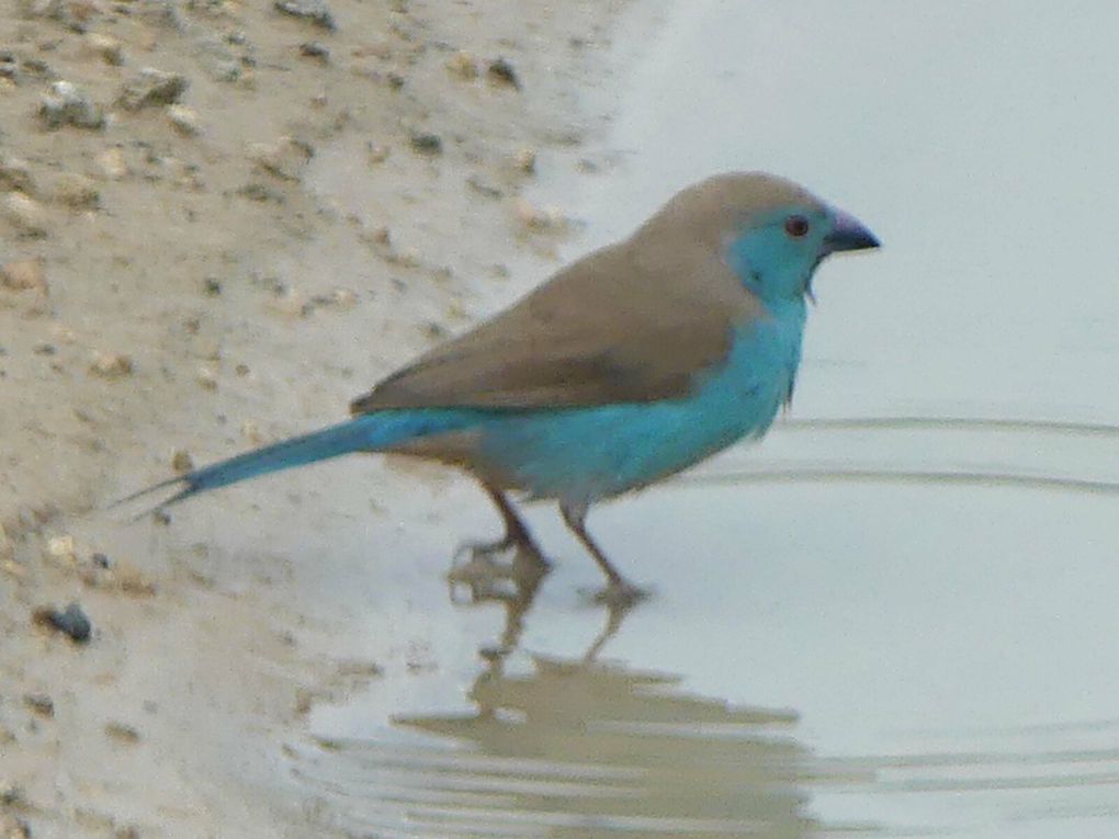 Retour en Namibie