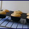 Muffins aux pépites de chocolat/coeur de chocolat blanc