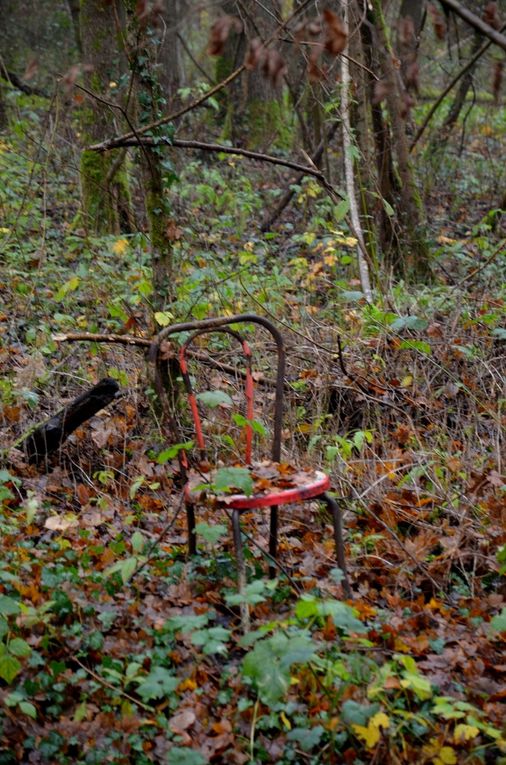 Quand mème des choses à découvrir dans le brouillard !