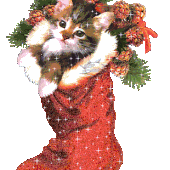 SAL "BOTTES DE NOËL" - BIENVENUE CHEZ NOUNETTE