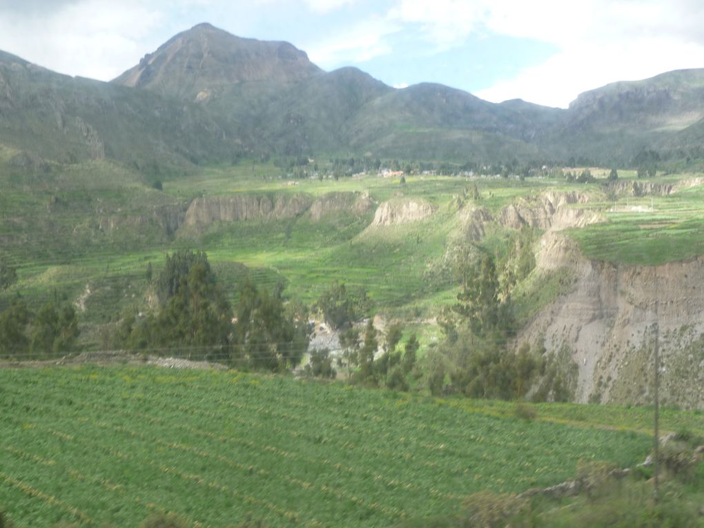 Album - 43.Canyon de Colca (Perou-Janvier)