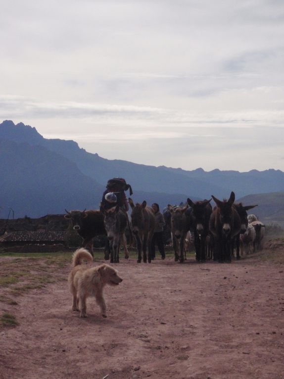 Album - 20-Cusco