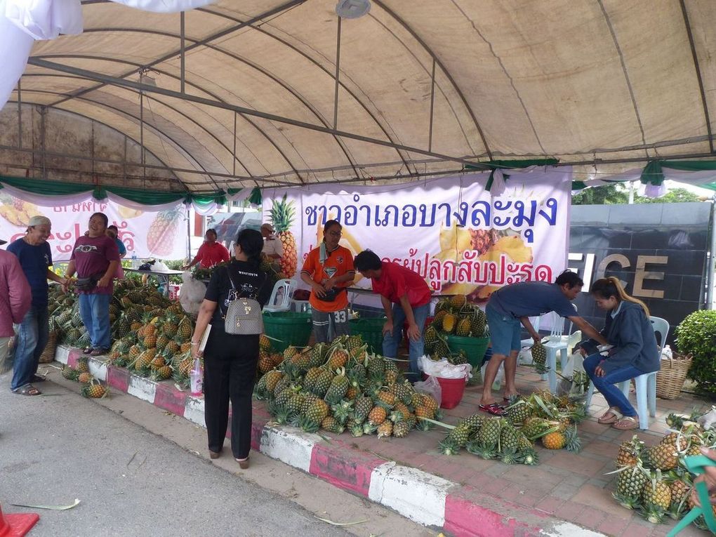 Le prix des fruits - Fruits de saison (18-12)