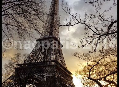 【PARIS】La Tour Eiffel 25/12/2014