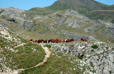 gite pyrénées atlantiques petite maison barbe 64270 sainte Colome Arudy                            Artouste  Col du Pourtalet à 45 km du gite petite maison barbet.