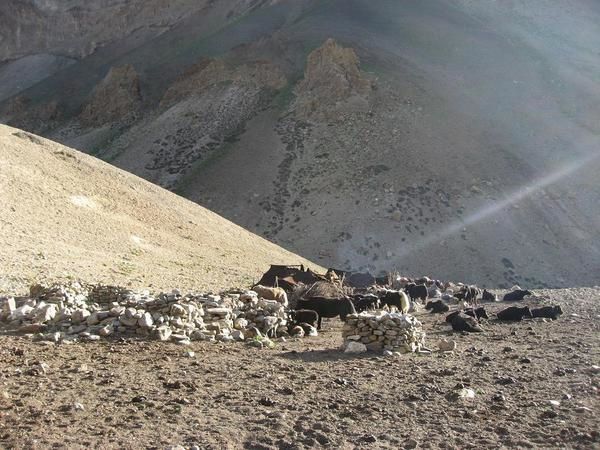 Album - Inde (Zanskar) - Trek Grande Diagonale: Brandy Nalla - Lamayuru