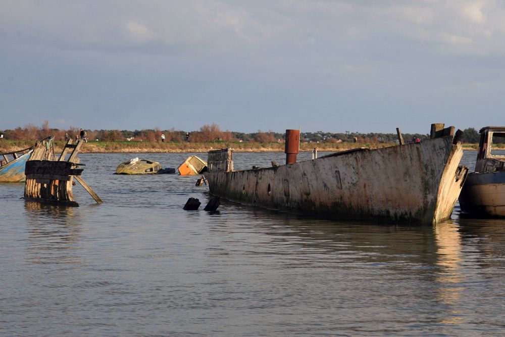 Album - Cimetière de bateaux à Noirmoutier