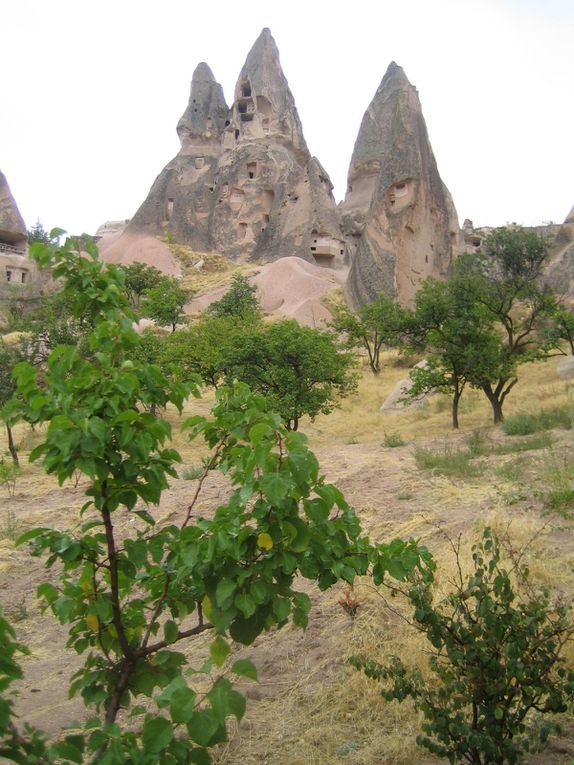 Des souvenirs féériques de cette randonnée dans ce site unique.
Des couleurs superbes de paysages à couper le souffle !!!

Le carnet de voyage est visible sur le lien : http://kosinski.free.fr/Carnet%20de%20voyage%20en%20Cappadoce/index.html