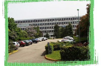 Au lycée